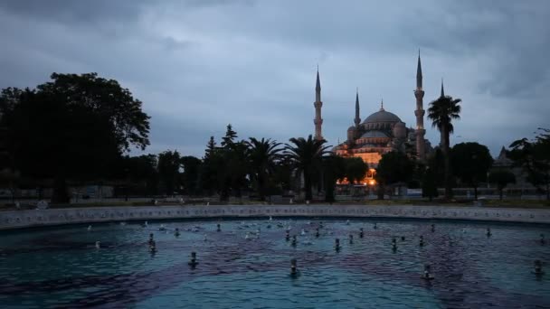 在土耳其伊斯坦布尔的蓝色清真寺 (Sultanahmet) — 图库视频影像