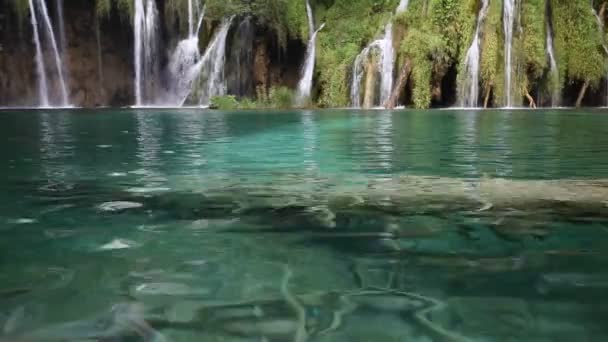 Красивый зеленый тропический водопад — стоковое видео