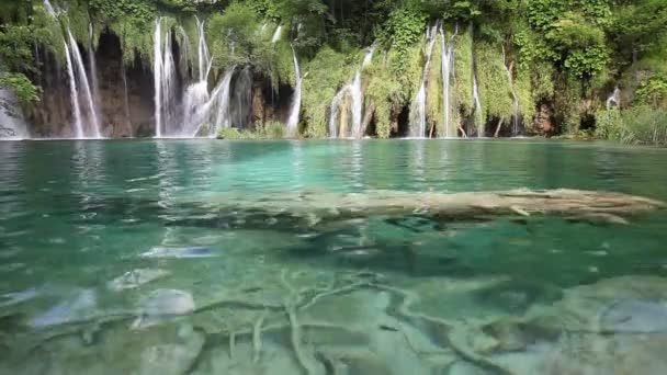 Красивый зеленый тропический водопад — стоковое видео