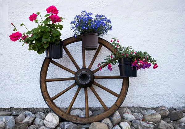 Blomkruka med trä hjulet — Stockfoto