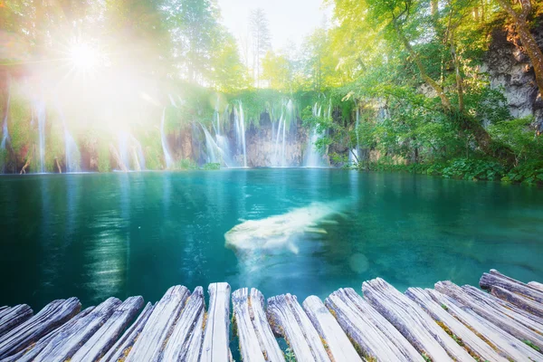 Schöne sonnige Wasserfälle — Stockfoto