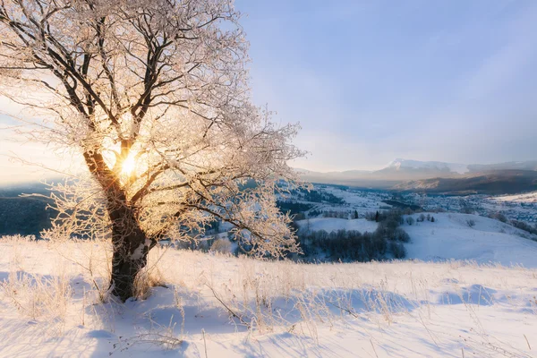 Invierno montaña colinas nevadas — Foto de Stock