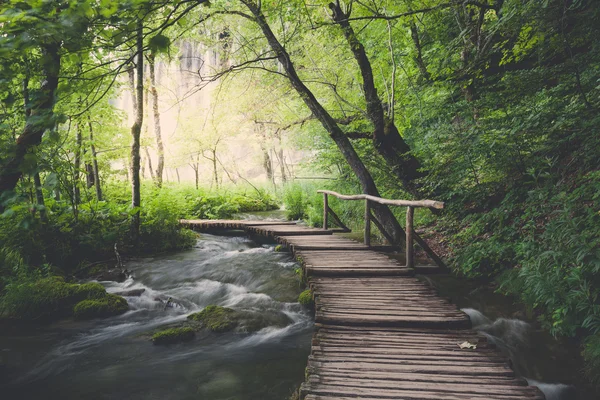 Wooden path across river in dark green forest — Stock Photo, Image
