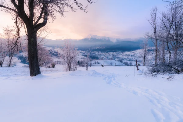 Vintern berg snöiga kullar — Stockfoto