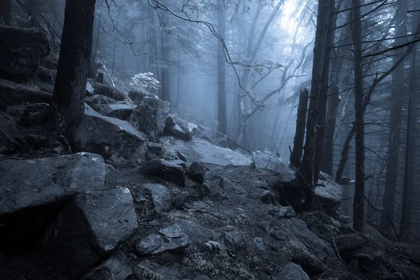 Rotsachtige pad door oude mistige bos bij nacht — Stockfoto