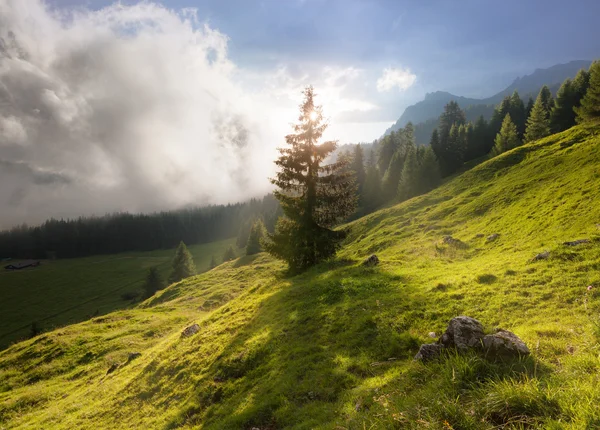 Letní horské sluneční krajina — Stock fotografie