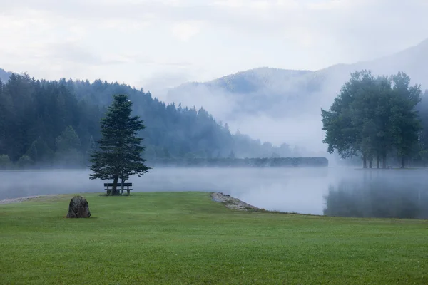 Mlhavé ráno horské jezero — Stock fotografie