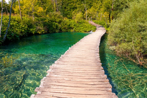 Camino de madera a través del lago —  Fotos de Stock