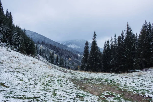 Pierwsza Jesień Nagły Śnieg Karpatach — Zdjęcie stockowe