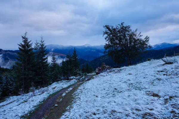 Eerste Herfst Plotselinge Sneeuw Karpaten Bergen — Stockfoto