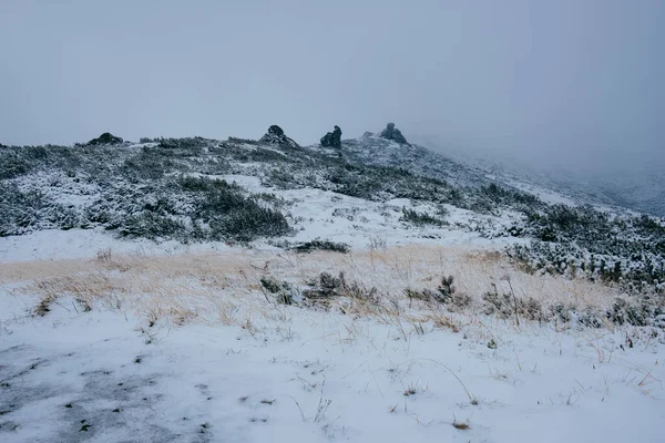 Перша Осінь Раптовий Сніг Карпатських Горах — стокове фото