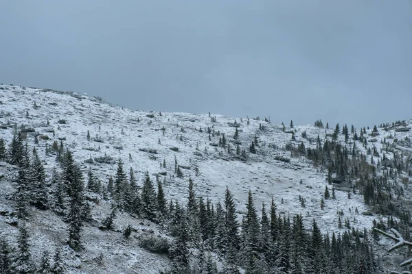 Eerste Herfst Plotselinge Sneeuw Karpaten Bergen — Stockfoto