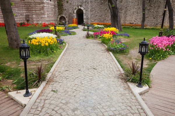 Jardín con flores tiulips — Foto de Stock