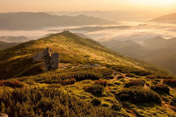 Bergzonsopgang — Stockfoto