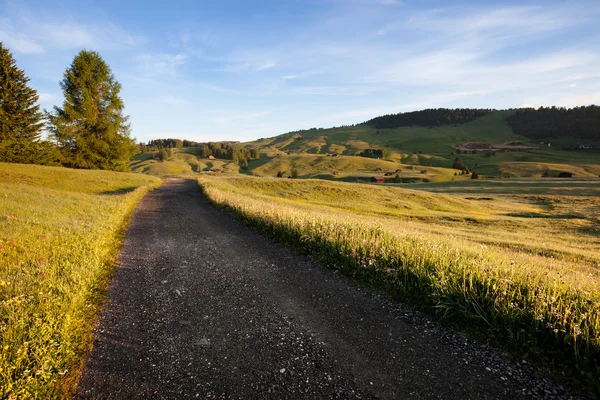 Terres agricoles vertes d'été — Photo