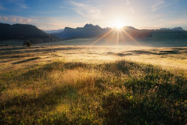 Alpine äng sunrise — Stockfoto