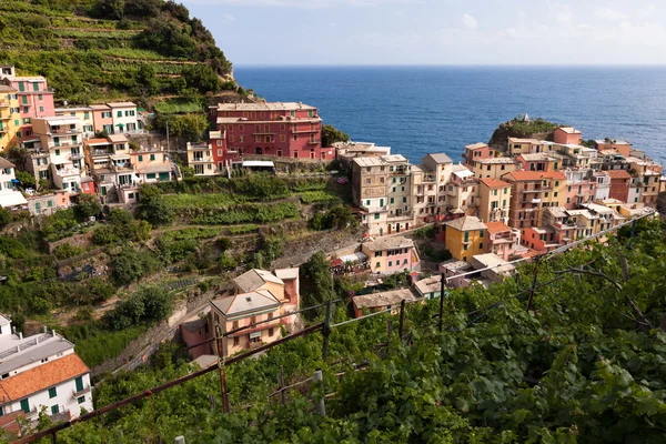 Manarola cidade no dia ensolarado — Fotografia de Stock