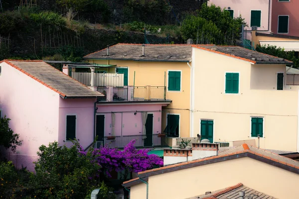 Manarola cidade no dia ensolarado — Fotografia de Stock