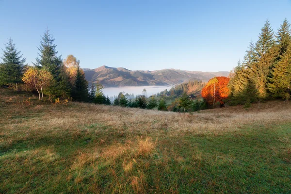 Sonbahar renkleri dağ tepe güneşli sabah — Stok fotoğraf