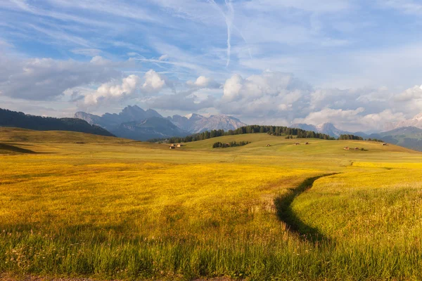 Alpe di Siusi Panoraması — Stok fotoğraf