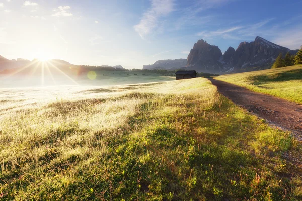 Alpe di Siusi op zonnige ochtend — Stockfoto