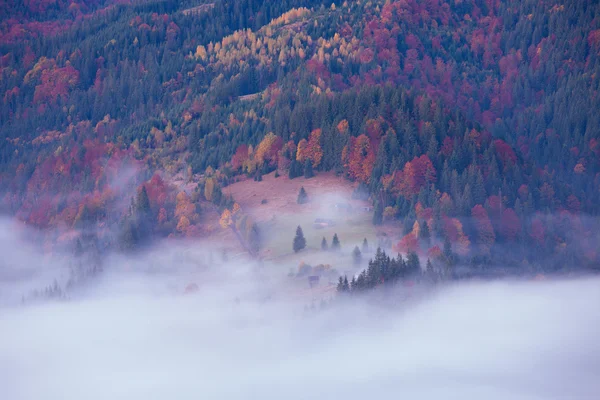 Colori autunno colline di montagna — Foto Stock