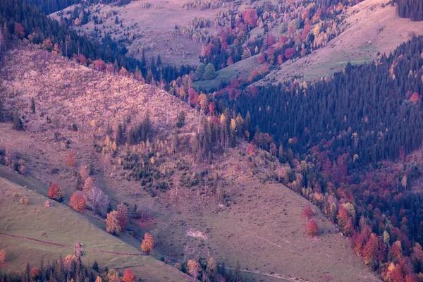 Падіння кольорів гірських пагорбів — стокове фото