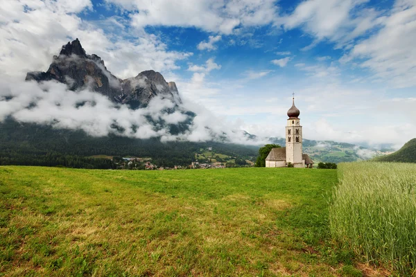 Pradera alpina de verano — Foto de Stock