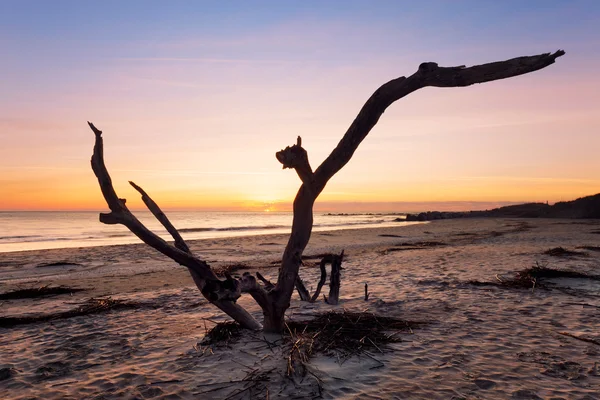 Sonnenaufgang am Wahnsinnsstrand — Stockfoto