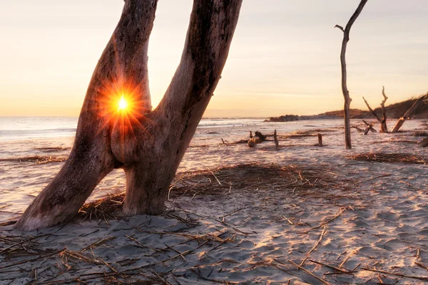 Salida del sol en Folly Beach — Foto de Stock