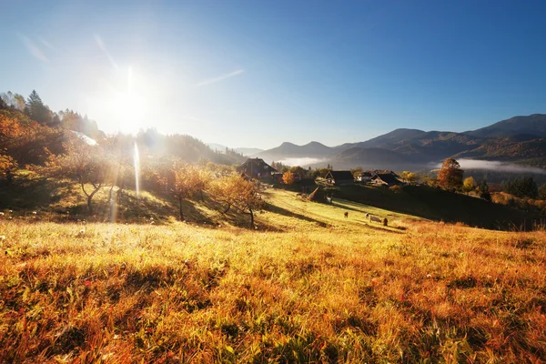 Fall colors mountain hill at sunny morning — Stock Photo, Image
