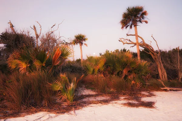 Morgen op het strand — Stockfoto