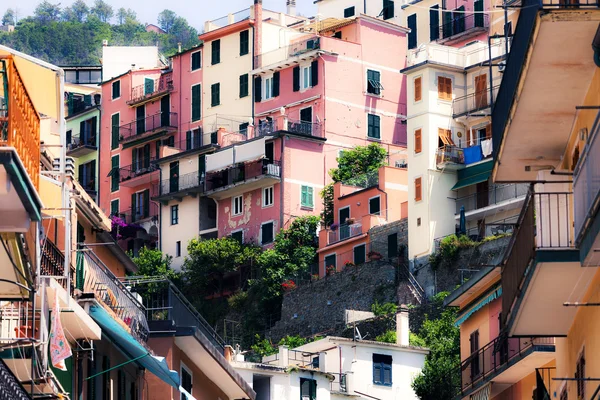 Casas na colina. Manarola cidade — Fotografia de Stock