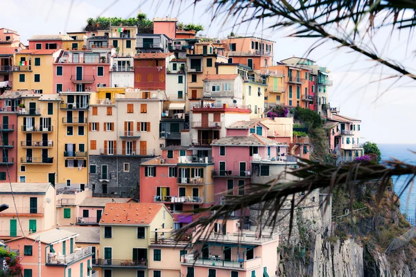 Casas na colina. Manarola cidade — Fotografia de Stock