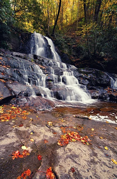 Chute d'eau Laurel — Photo