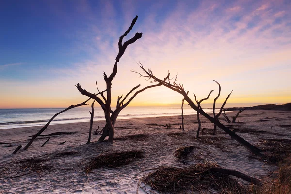 Salida del sol en Folly Beach — Foto de Stock