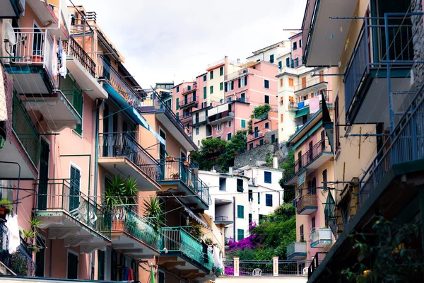 Casas na colina. Manarola cidade — Fotografia de Stock