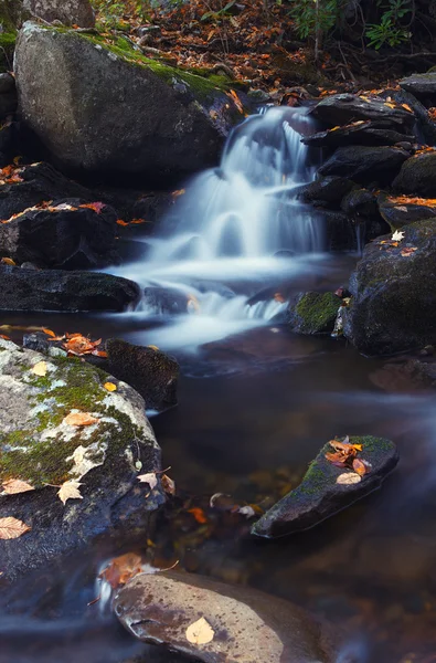 Waldbach — Stockfoto