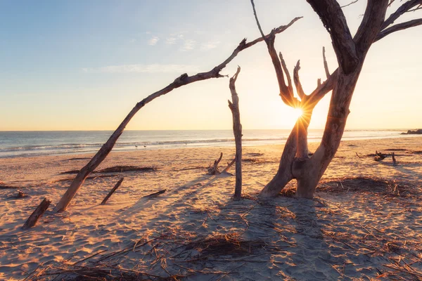 Salida del sol en Folly Beach — Foto de Stock