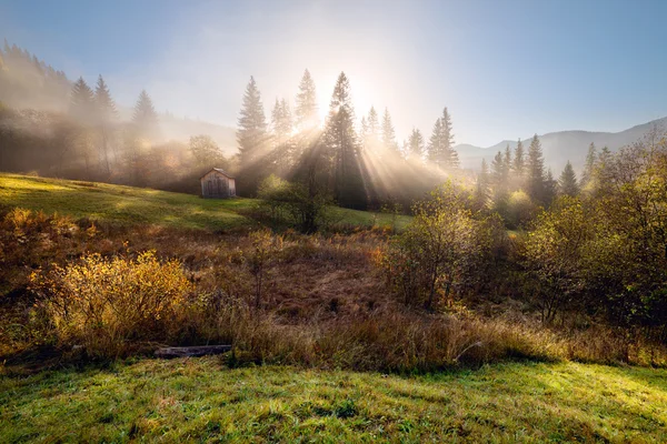 Misty mañana de otoño en las colinas de montaña — Foto de Stock