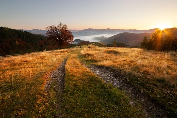 Día soleado de otoño en las colinas de montaña — Foto de Stock