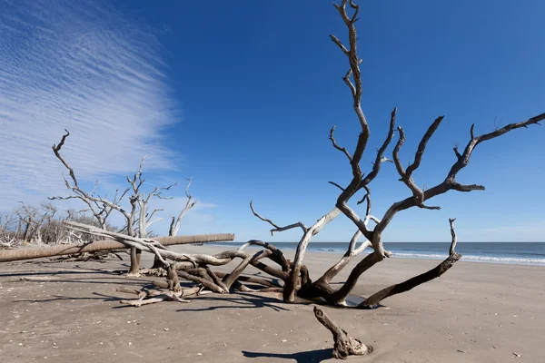 Strand der Botanischen Bucht — Stockfoto