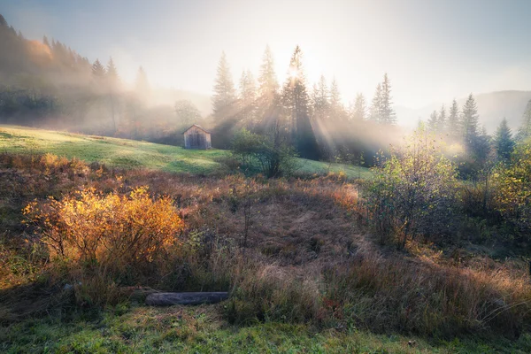 Misty mañana de otoño en las colinas de montaña — Foto de Stock
