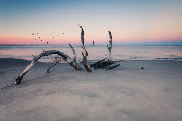 Morris Island vuurtoren bij zonsondergang — Stockfoto