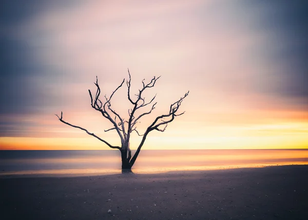 Vintage stijl foto van Botany Bay beach — Stockfoto