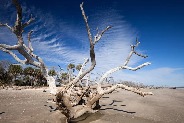 Spiaggia di Botany Bay — Foto Stock