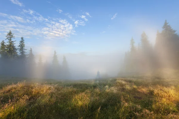Mistige ochtend berglandschap — Stockfoto