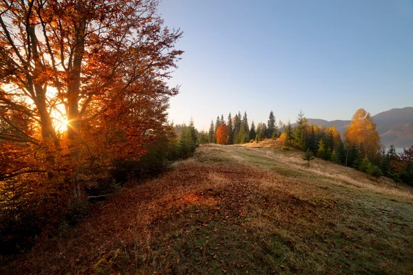 Slunečné podzimní den v kopcích horská — Stock fotografie