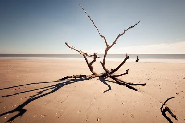 Playa de Botany Bay — Foto de Stock