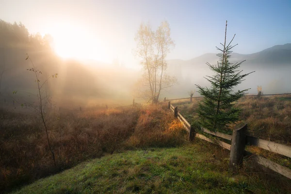 Őszi színek hegyi hill a napsütéses reggel — Stock Fotó